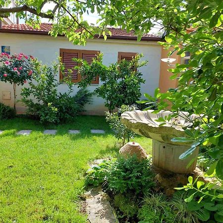 Adriatic Apartments Nada Фажана Экстерьер фото