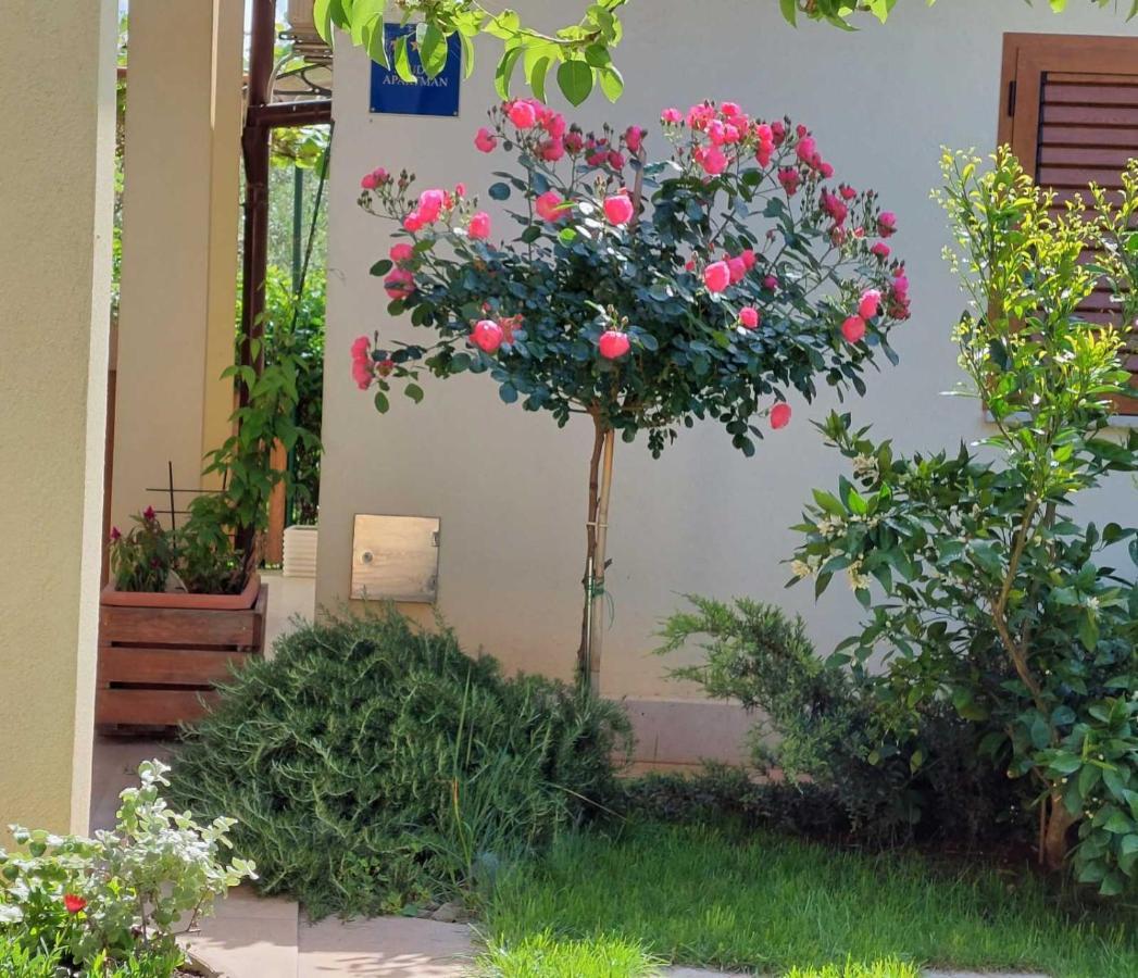 Adriatic Apartments Nada Фажана Экстерьер фото